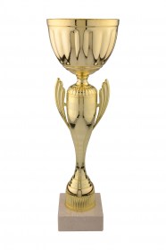 Cupe Sportive CS 56